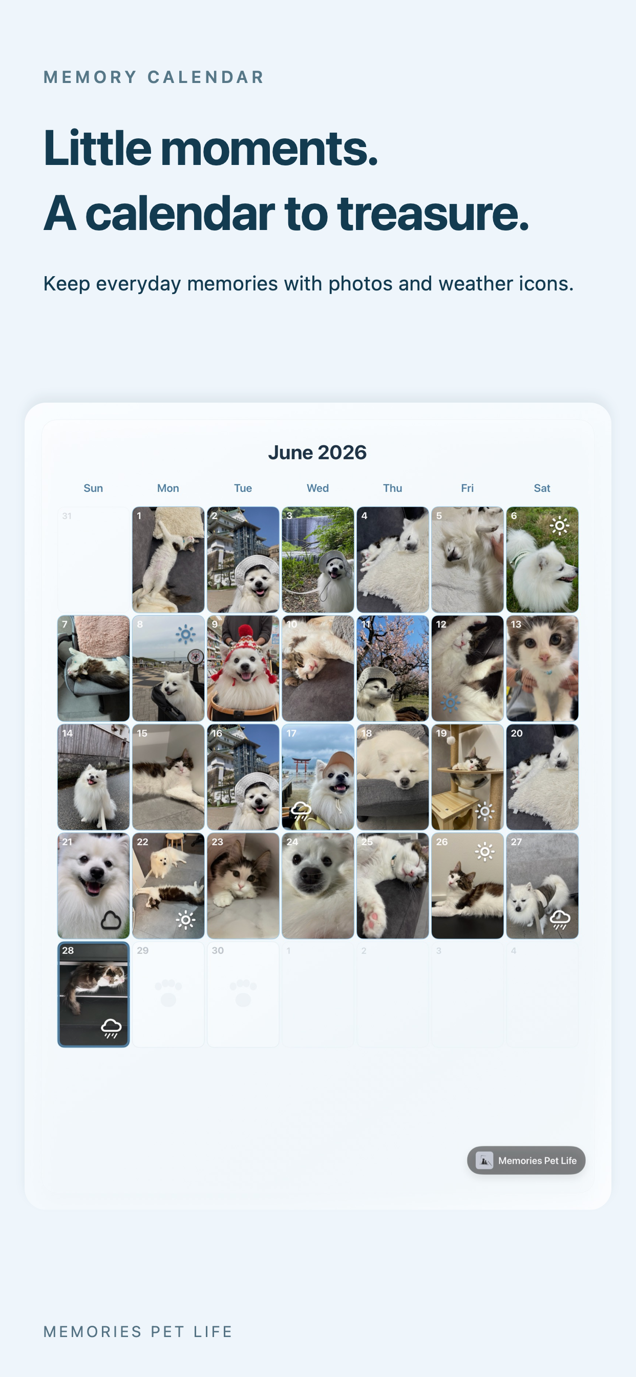 Preview image showing Pet Calendar in Memories Pet Life