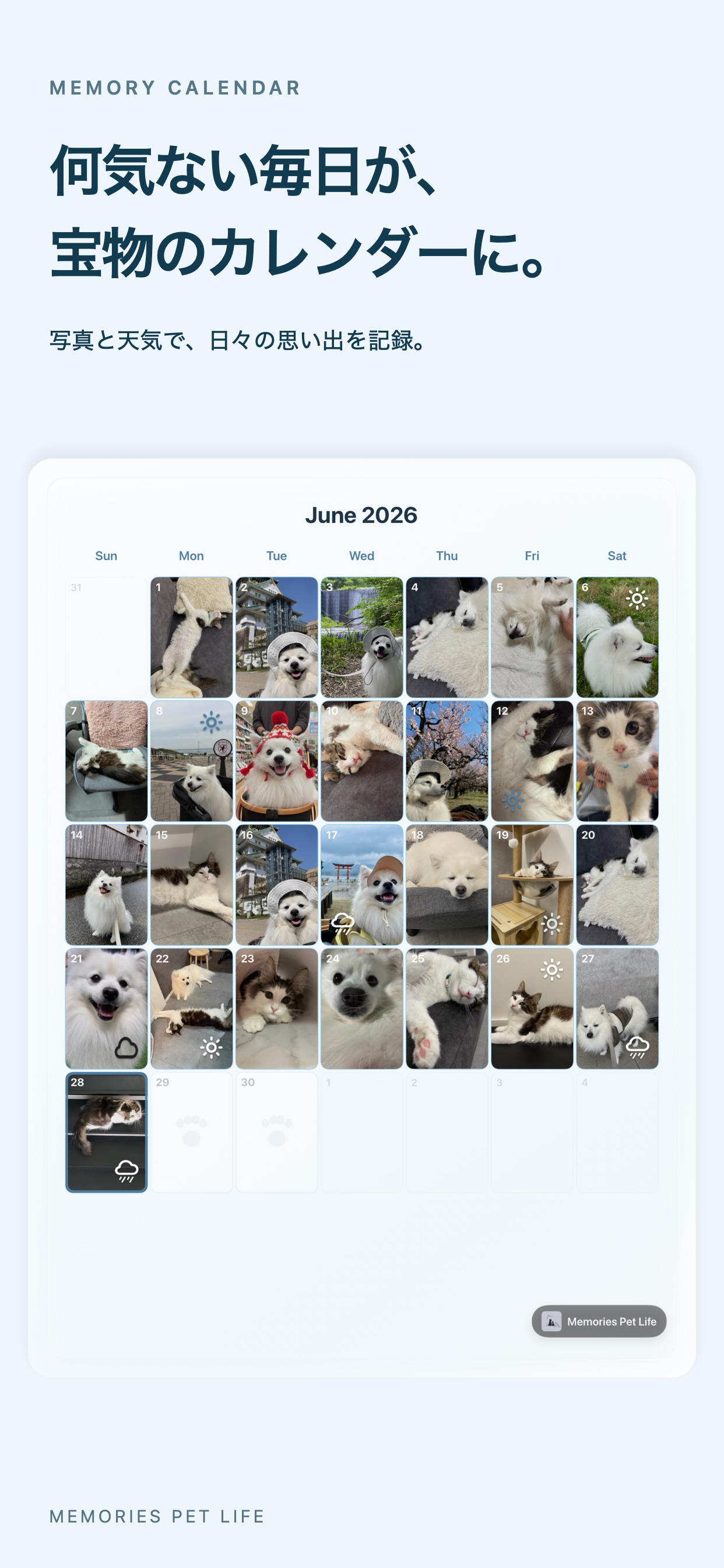 うちの子カレンダーを紹介するMemories Pet Lifeのプレビュー画像
